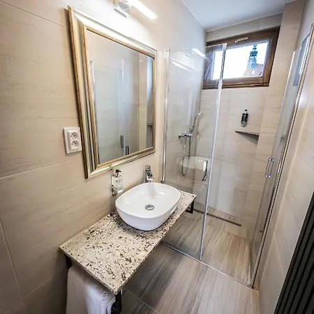 Boutique Old Town 아파트 체스케부데요비체