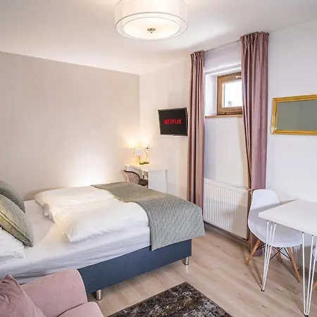 Boutique Old Town 아파트 체스케부데요비체