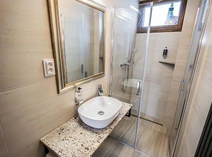 Boutique Old Town 아파트 체스케부데요비체